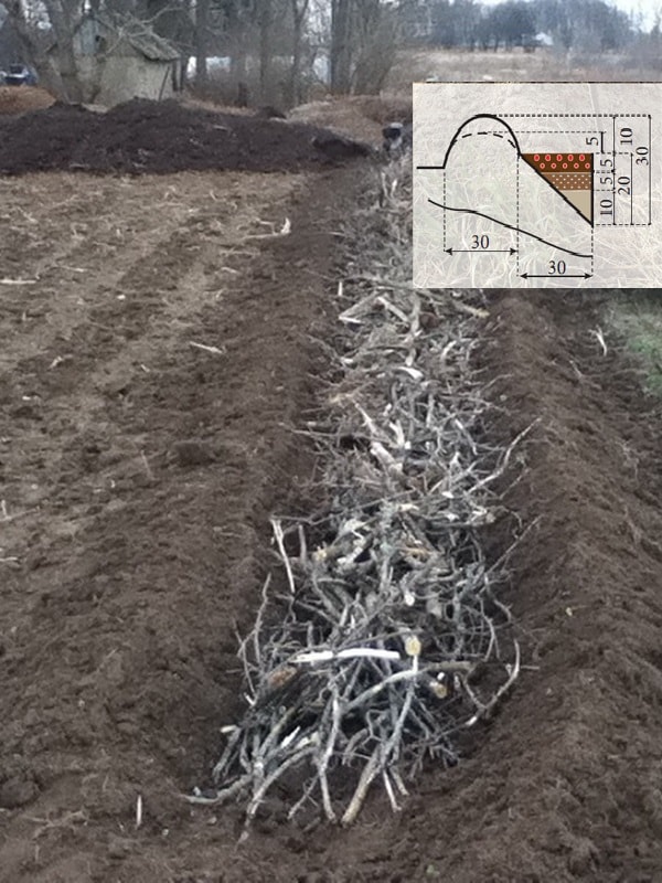 интенсивные грядки Розума: отзывы, закладка